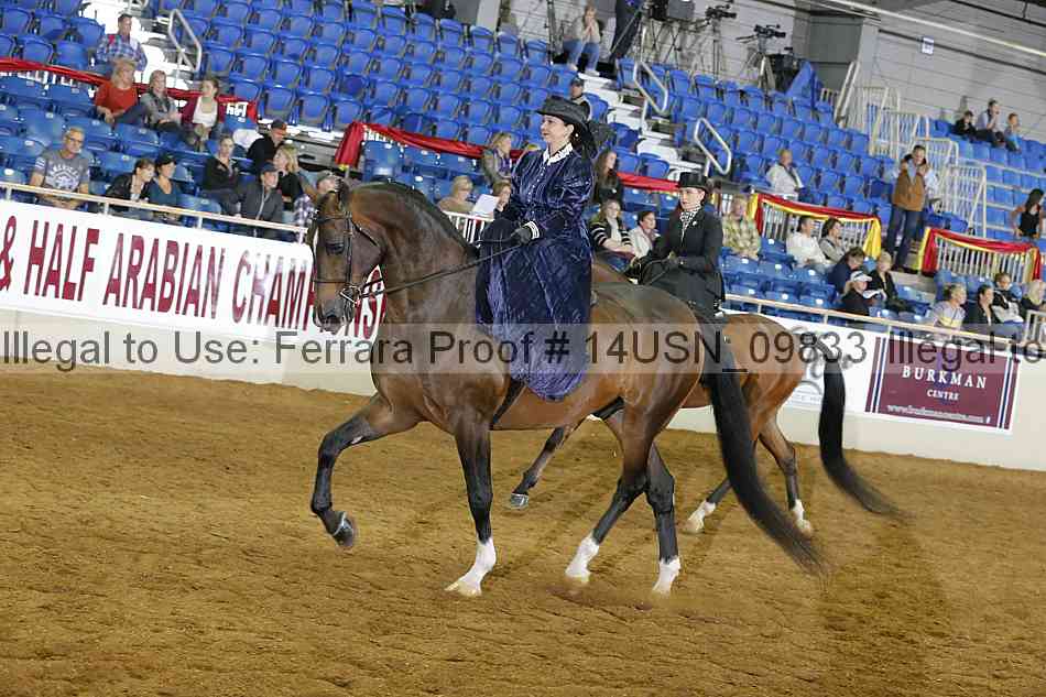 Proof 14usn_09833