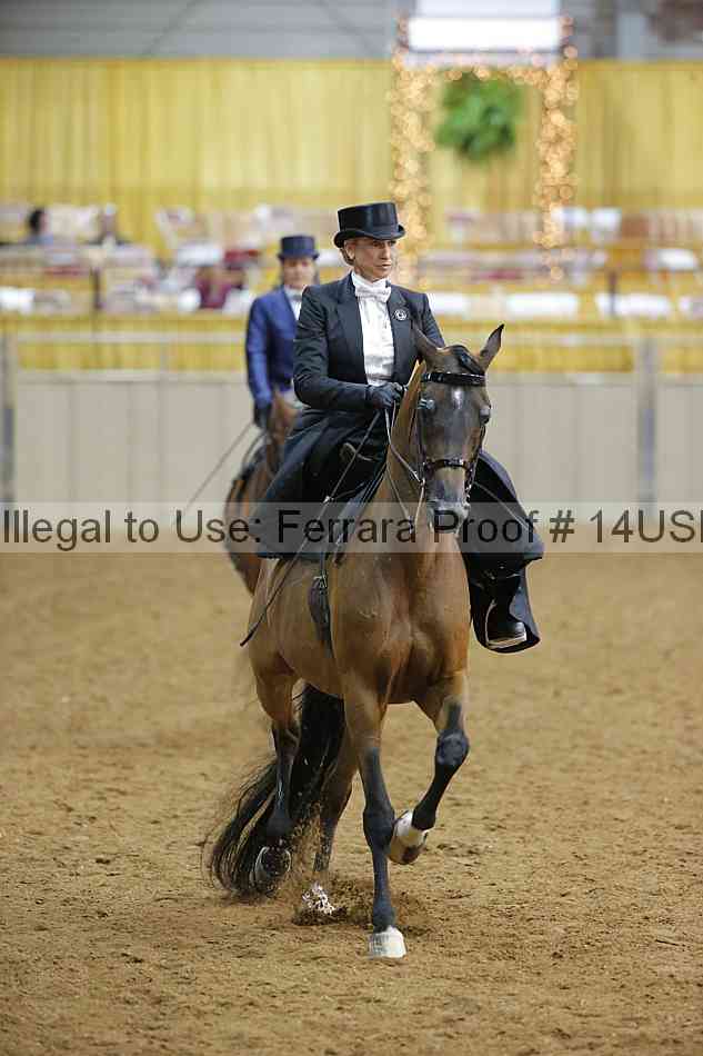 Proof 14usn_09840