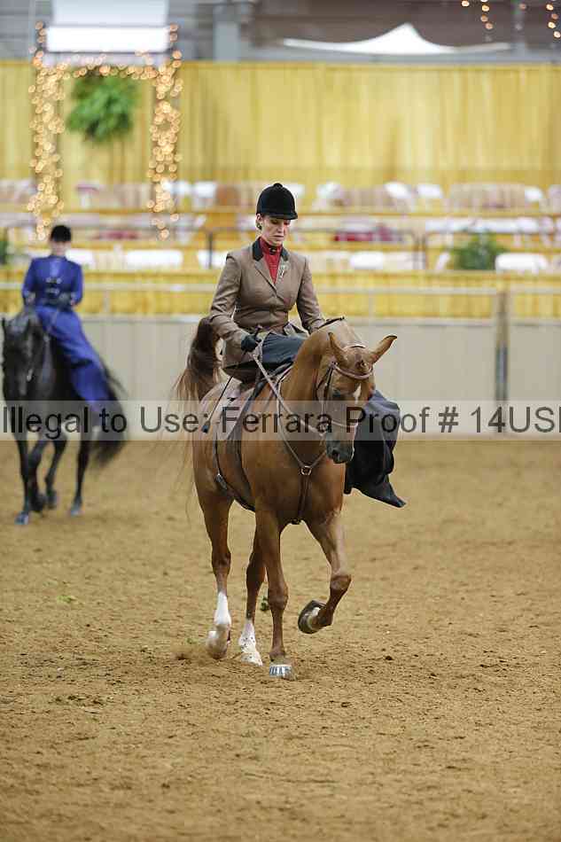 Proof 14usn_09843