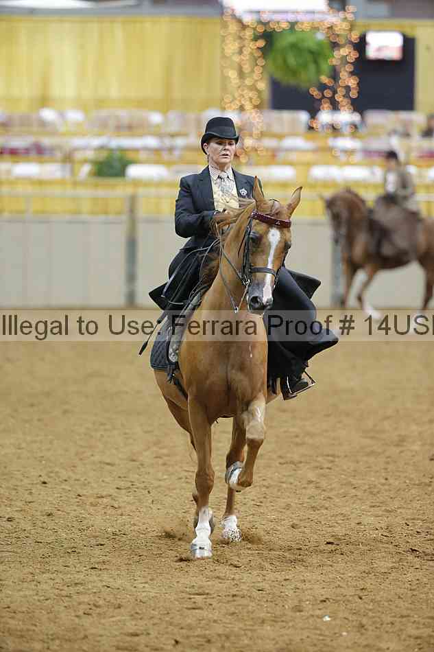 Proof 14usn_09844