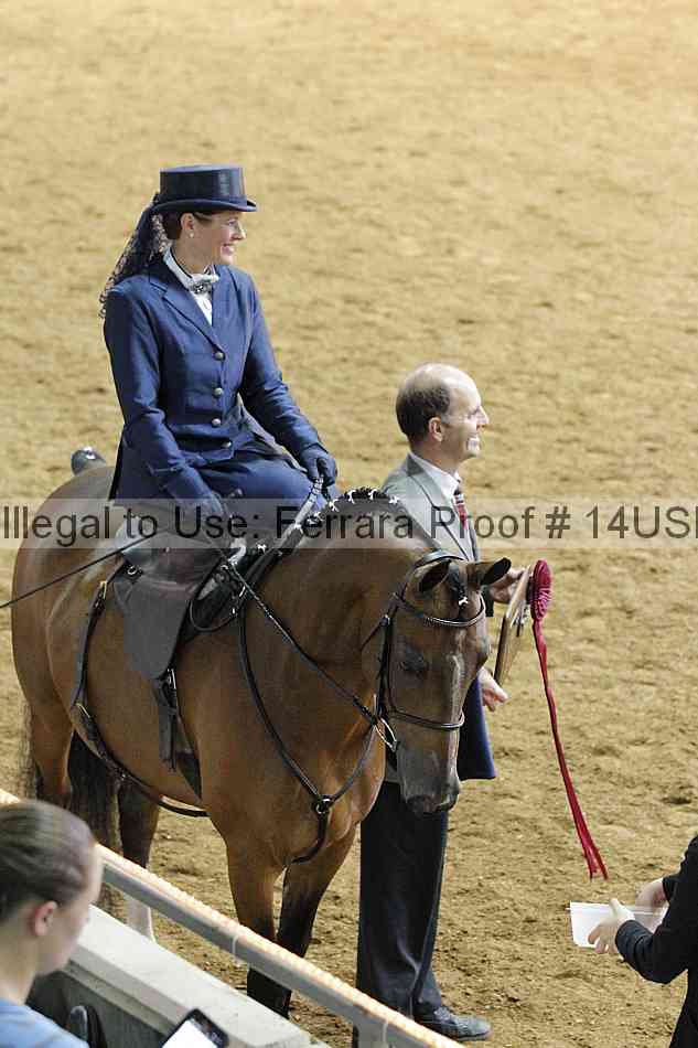 Proof 14usn_09848