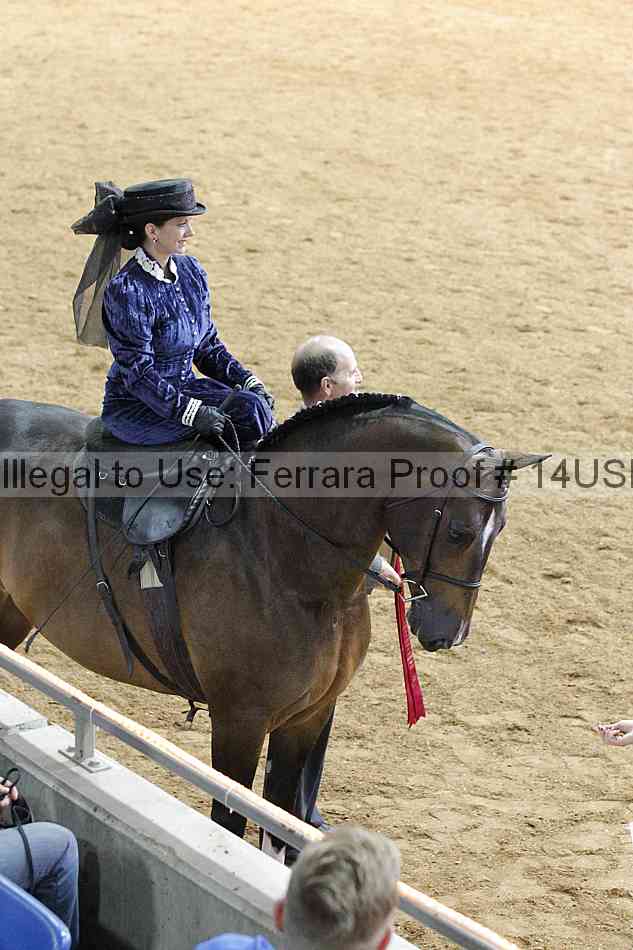Proof 14usn_09857
