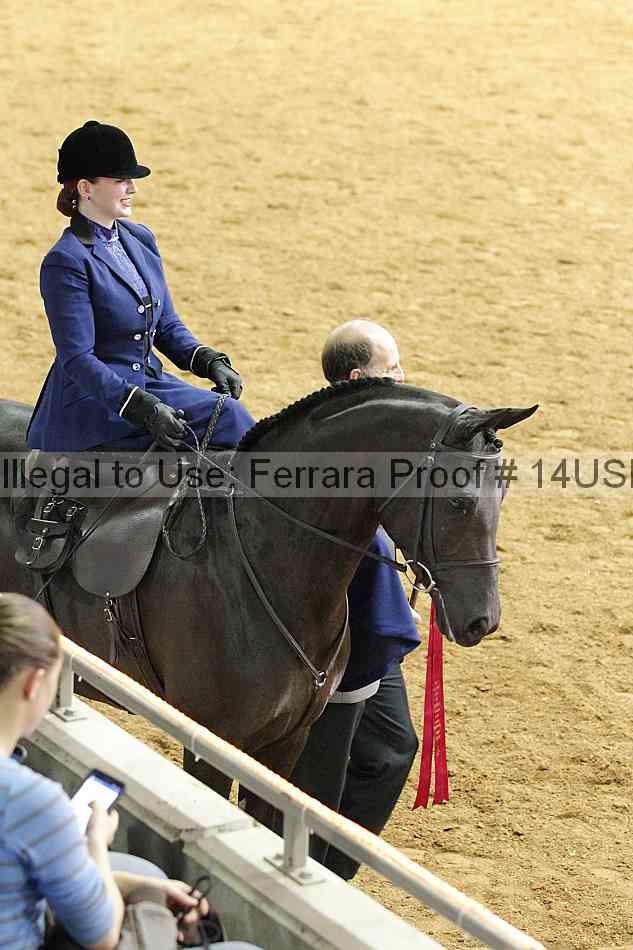 Proof 14usn_09861