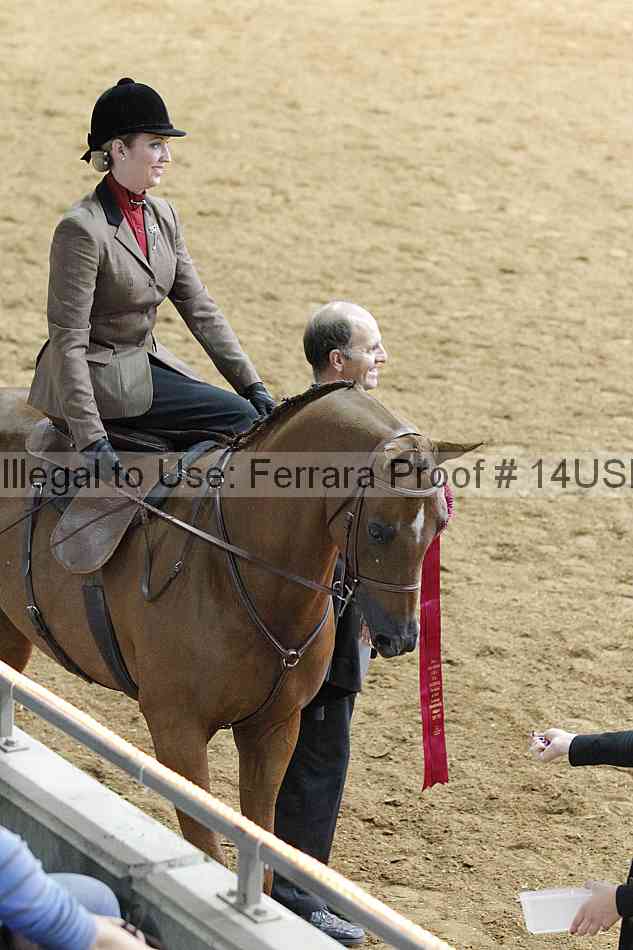 Proof 14usn_09867