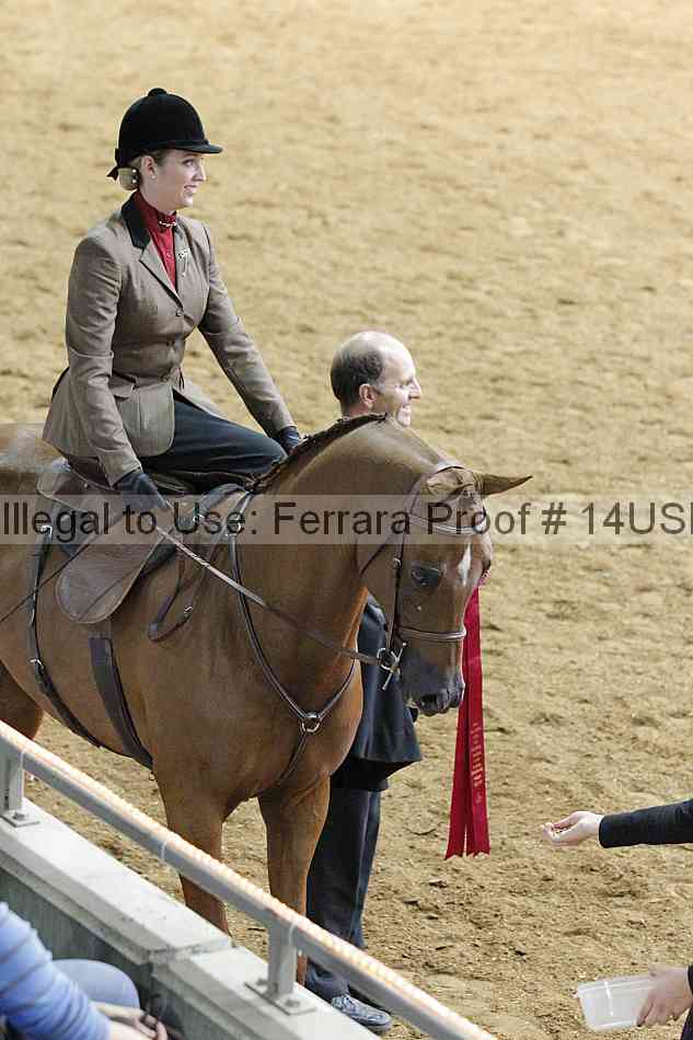 Proof 14usn_09868