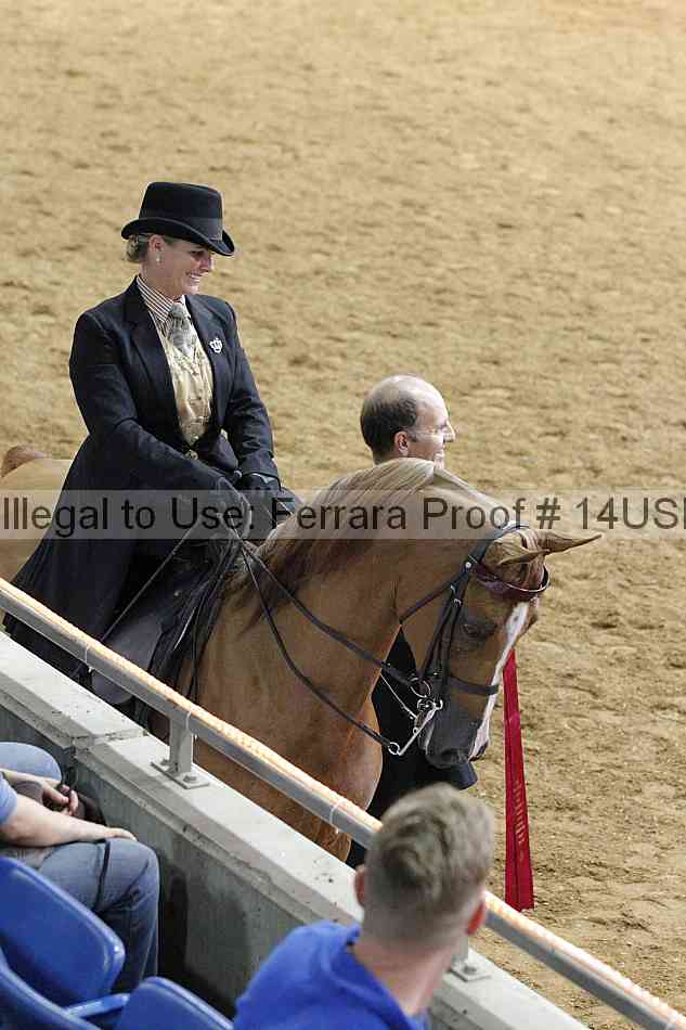 Proof 14usn_09872