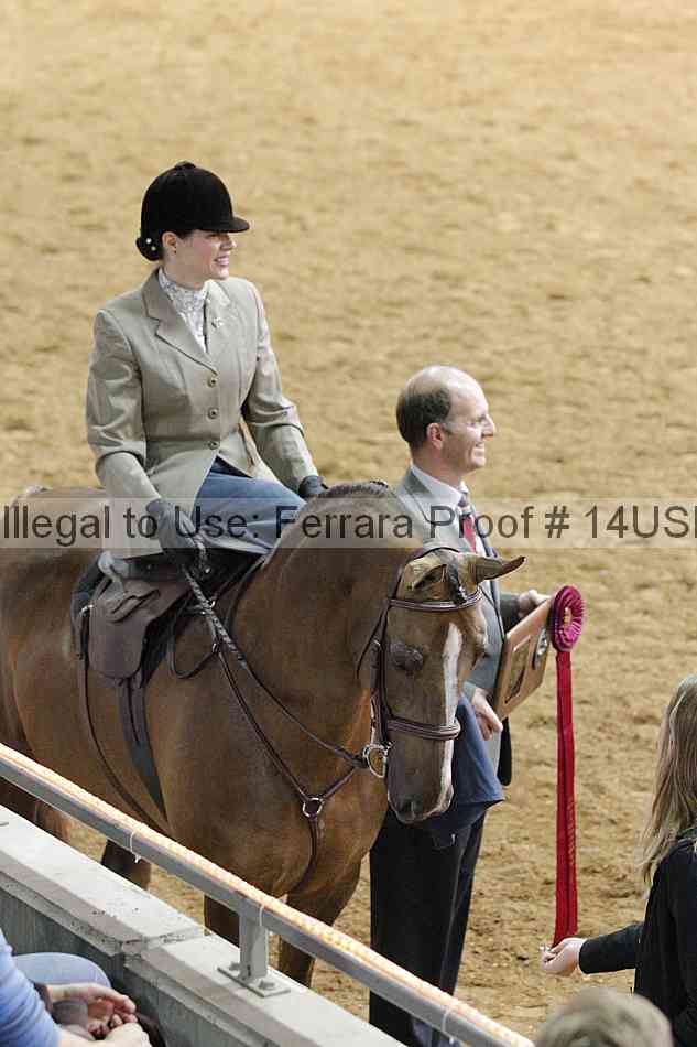 Proof 14usn_09876