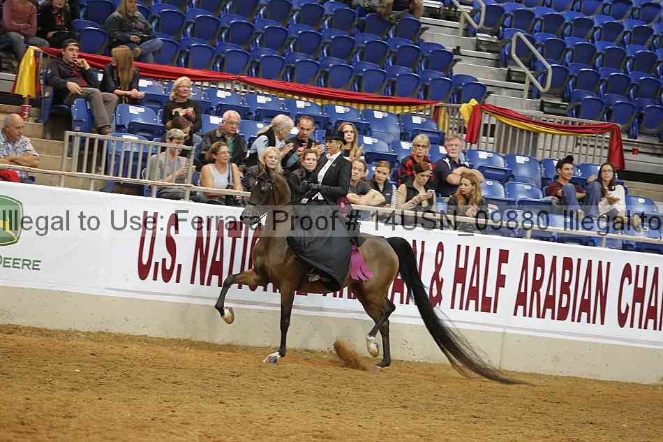 Proof 14usn_09880