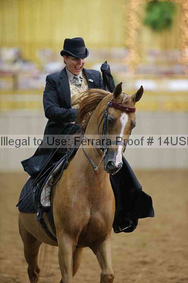 Proof 14usn_09896