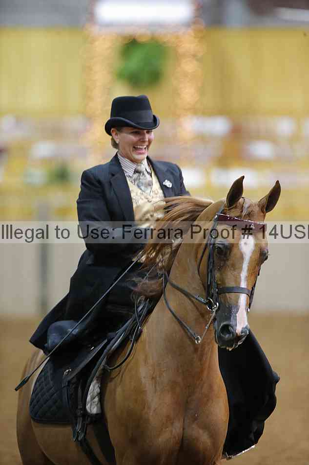Proof 14usn_09897