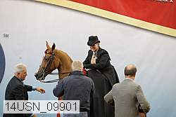 14usn_09901 proof
