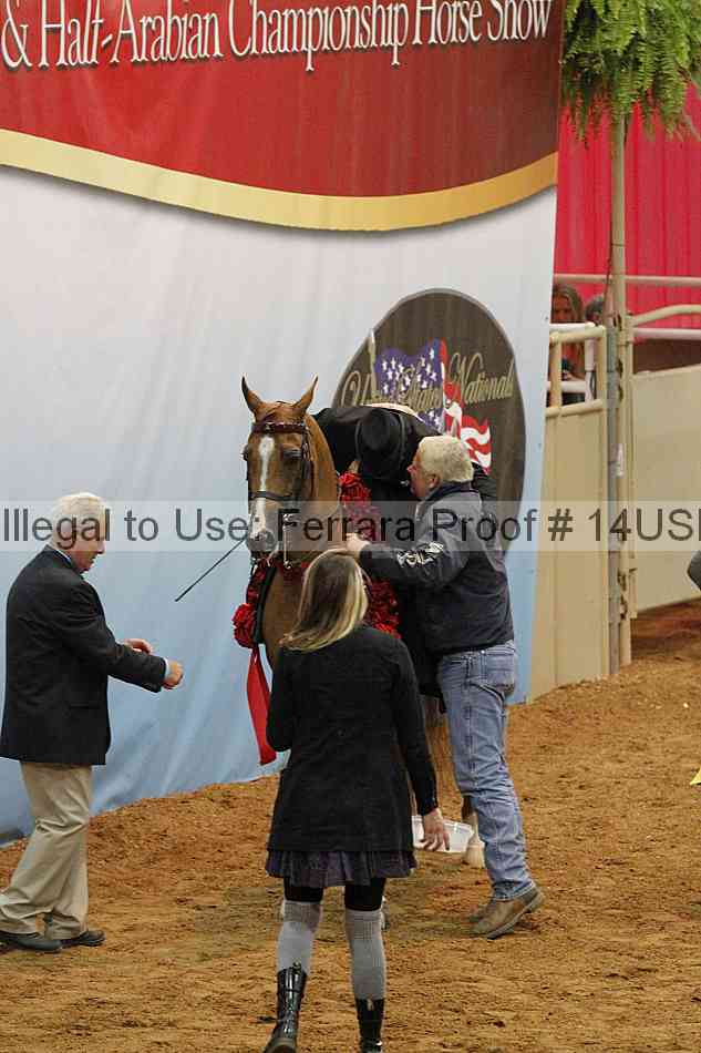 Proof 14usn_09908