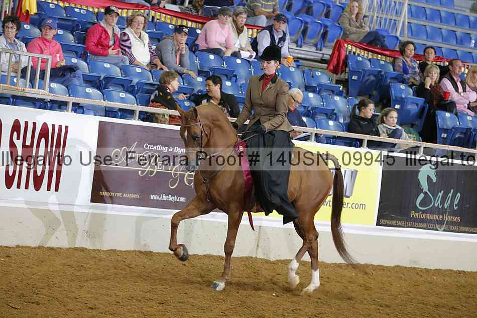 Proof 14usn_09945