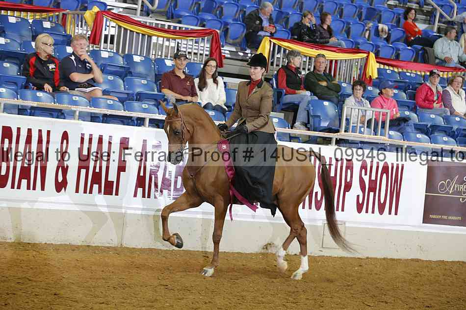 Proof 14usn_09946
