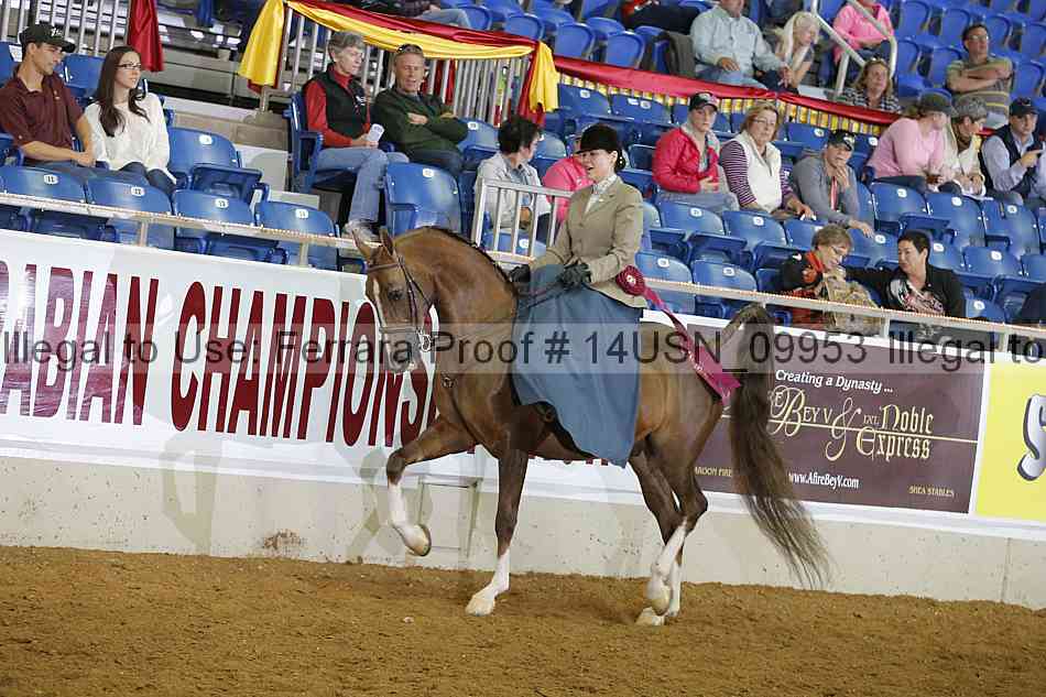 Proof 14usn_09953