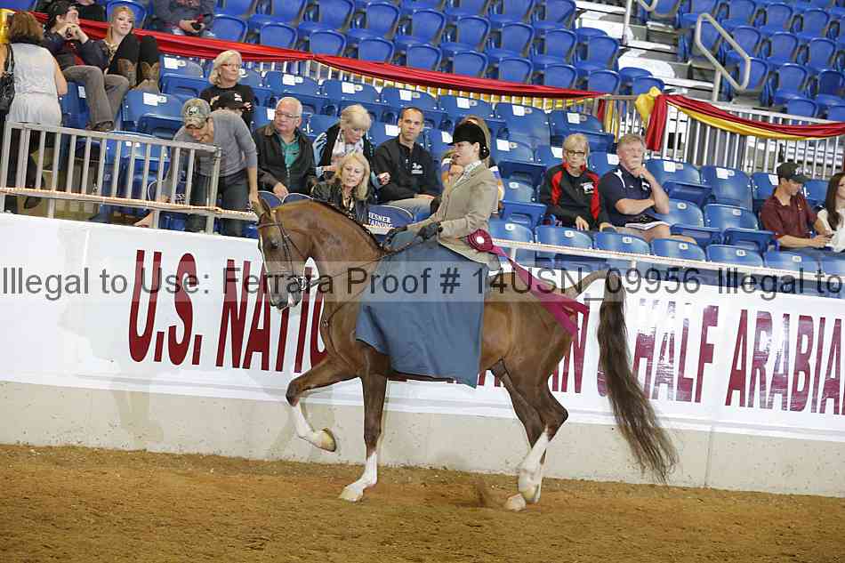 Proof 14usn_09956