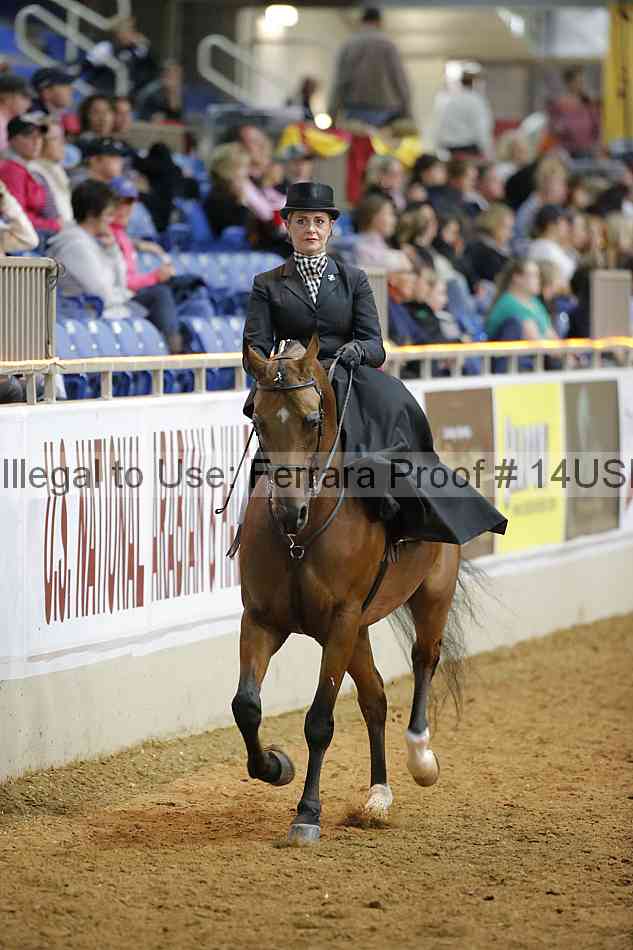 Proof 14usn_09957