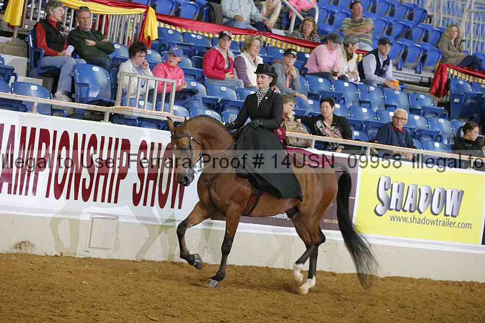 Proof 14usn_09958