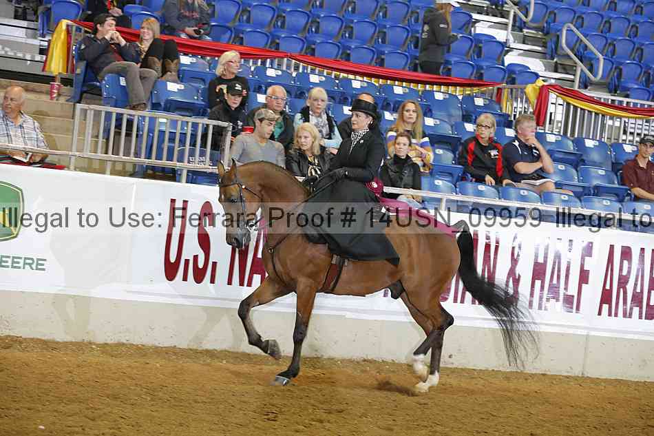 Proof 14usn_09959