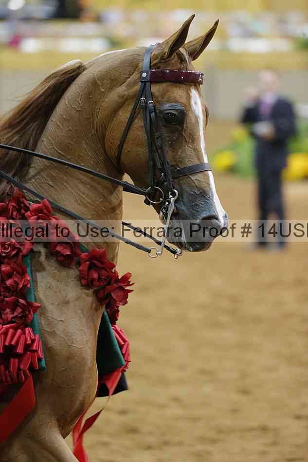 Proof 14usn_09982