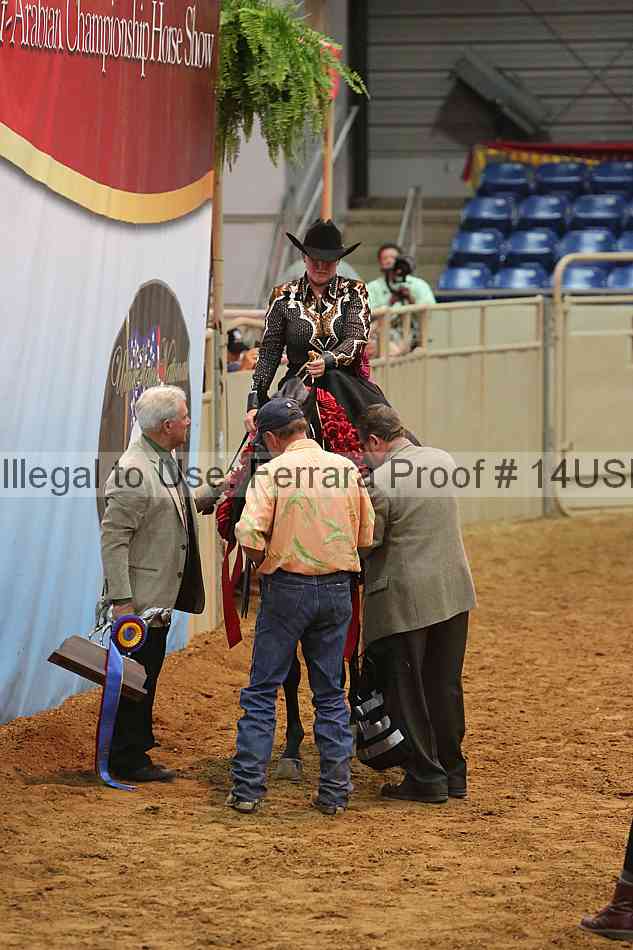 Proof 14usn_19002