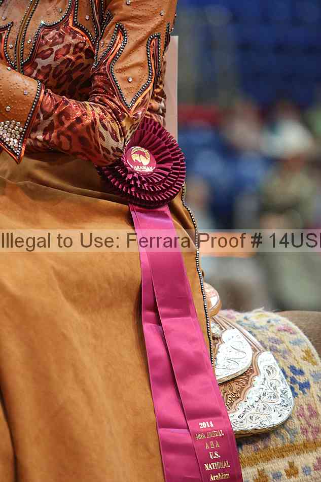 Proof 14usn_19035