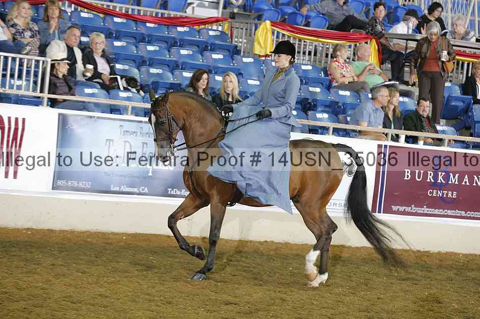 Proof 14usn_35036