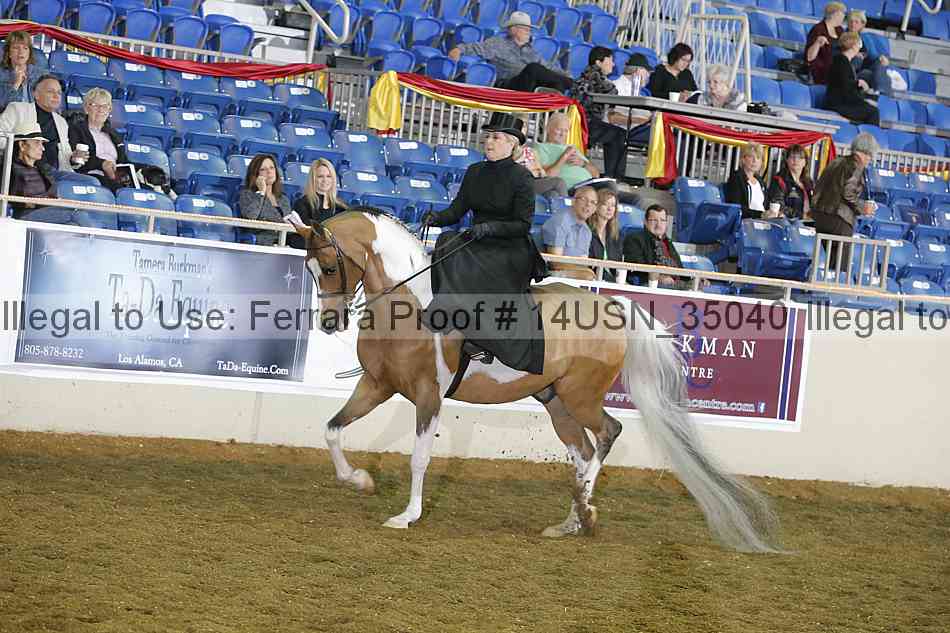 Proof 14usn_35040