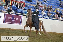 14usn_35046 proof