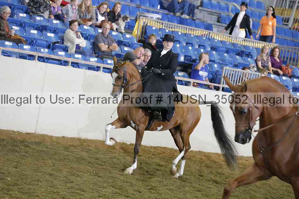 Proof 14usn_35052