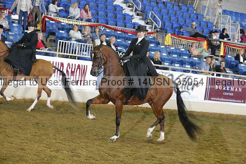 Proof 14usn_35054