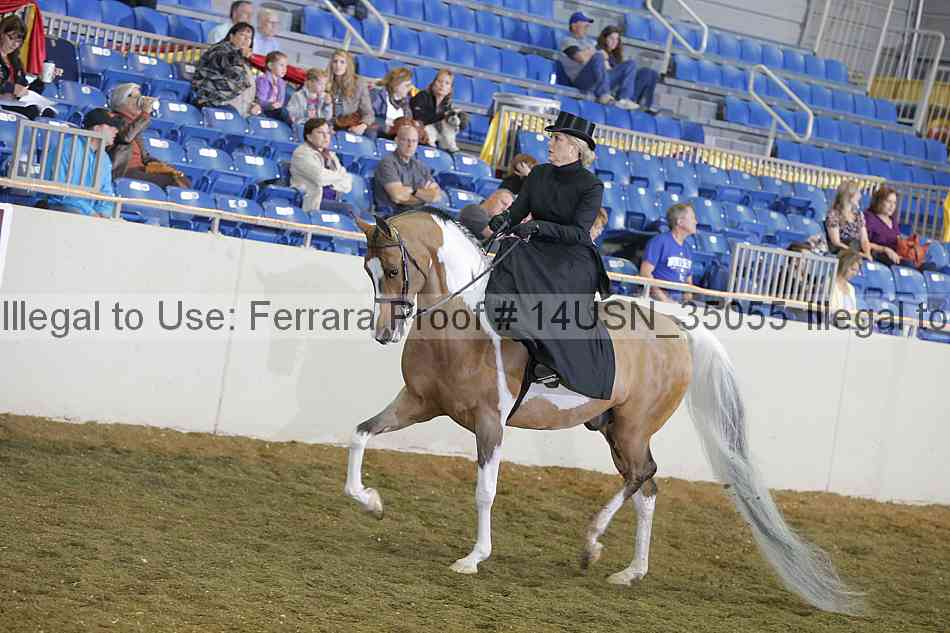 Proof 14usn_35055