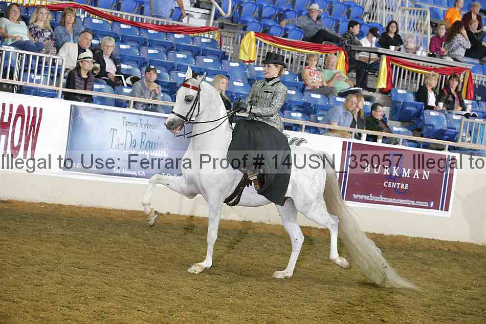 Proof 14usn_35057