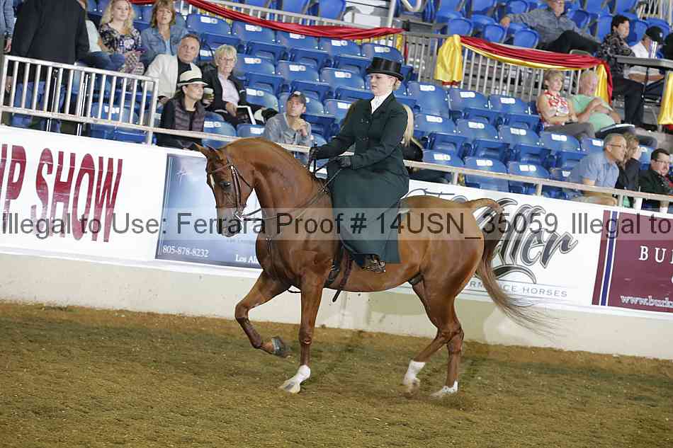 Proof 14usn_35059