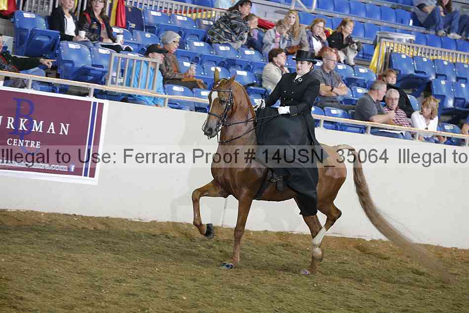 Proof 14usn_35064