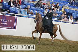 14usn_35064 proof