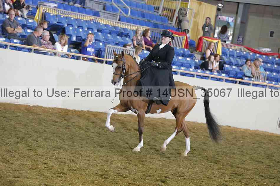 Proof 14usn_35067