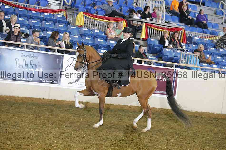 Proof 14usn_35068