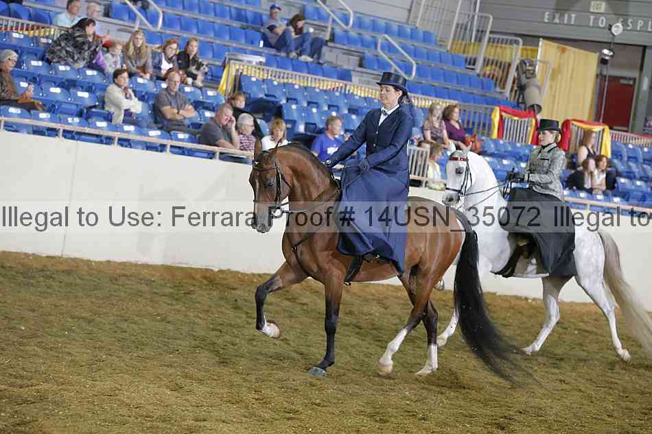 Proof 14usn_35072