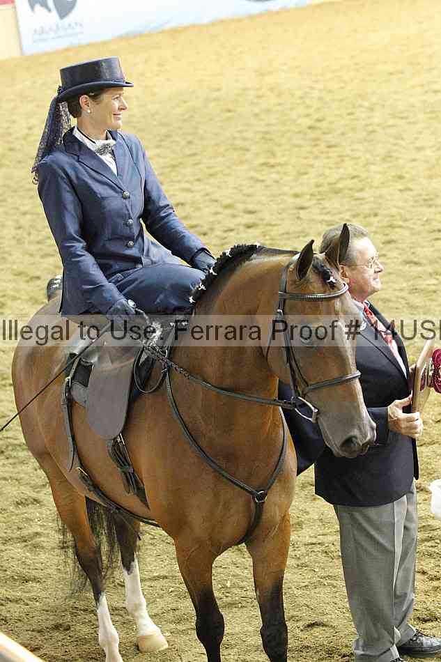 Proof 14usn_35079