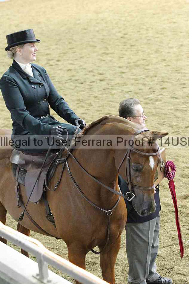 Proof 14usn_35082