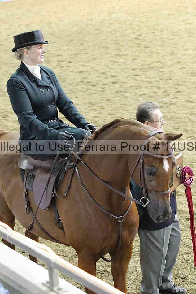 Proof 14usn_35083