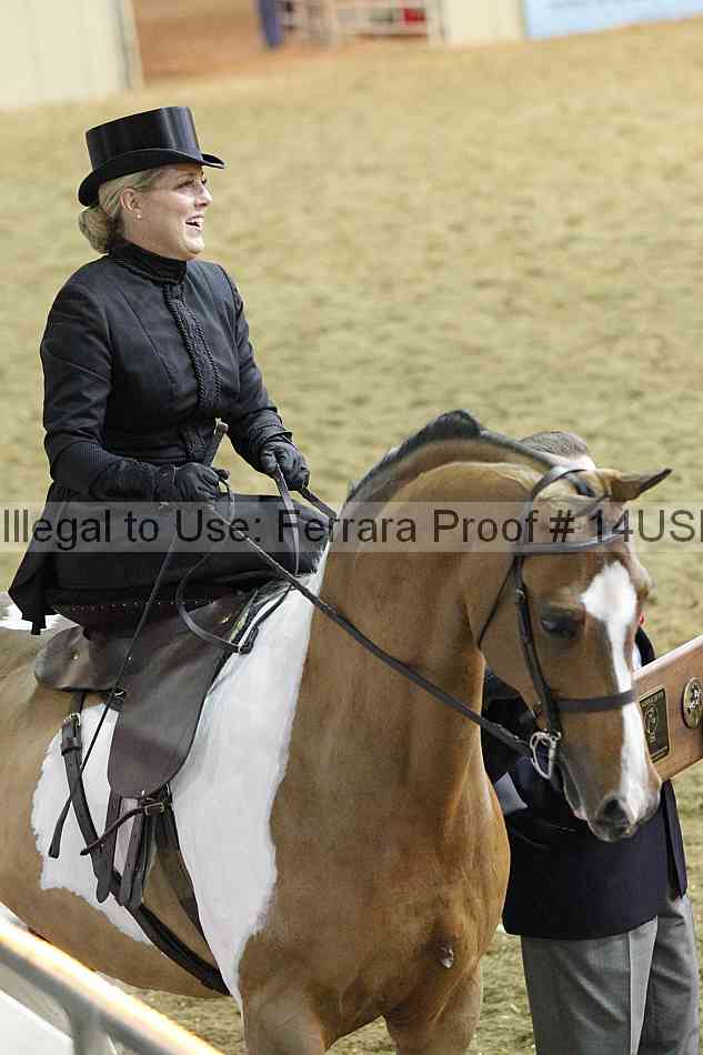 Proof 14usn_35086