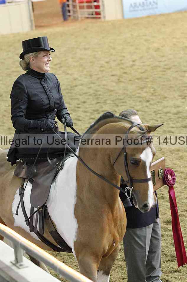 Proof 14usn_35087