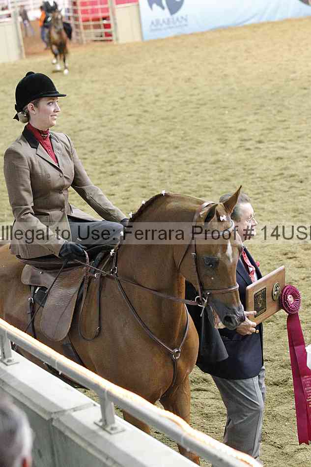Proof 14usn_35096