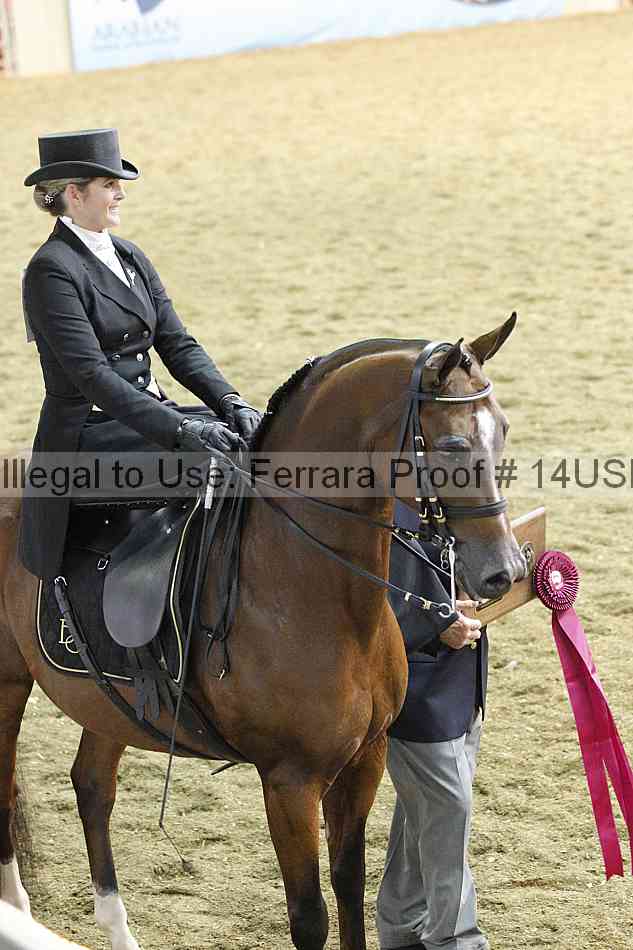 Proof 14usn_35099