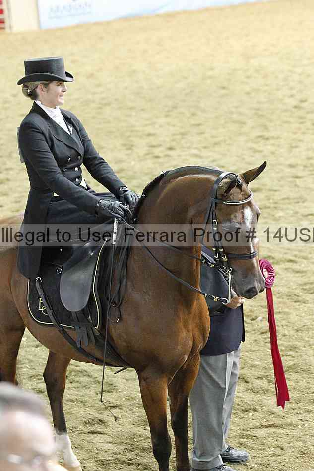 Proof 14usn_35100