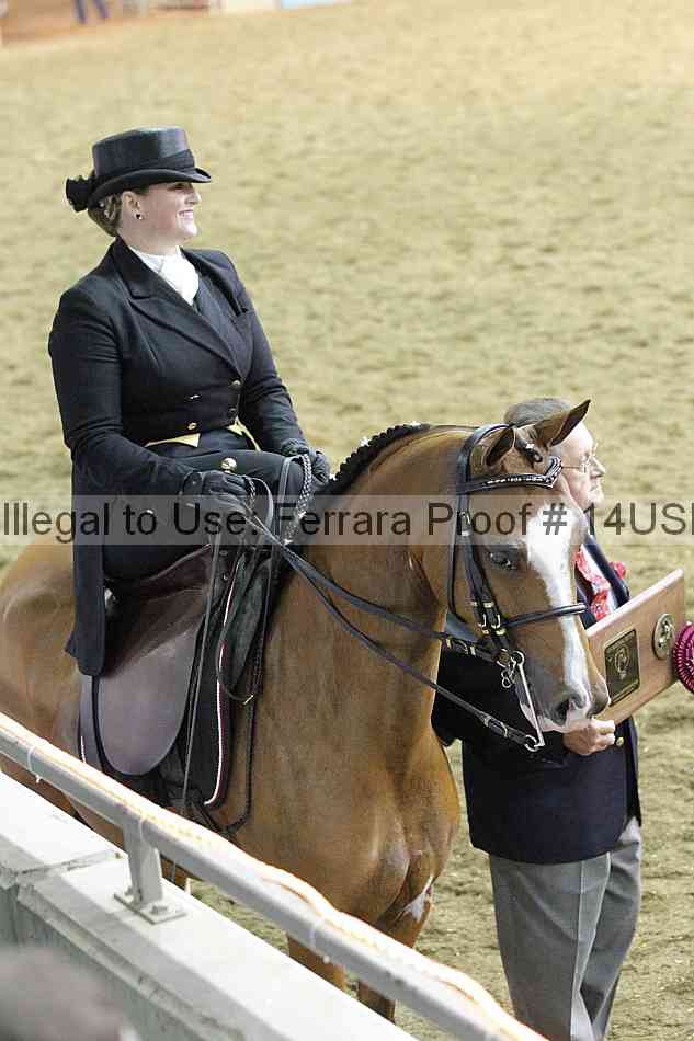 Proof 14usn_35103