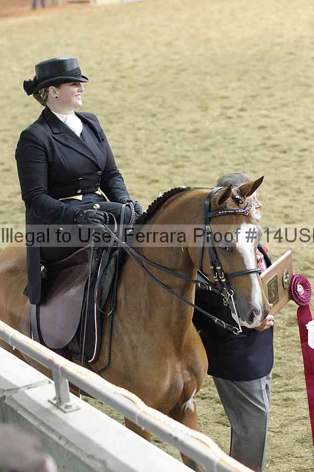 Proof 14usn_35104