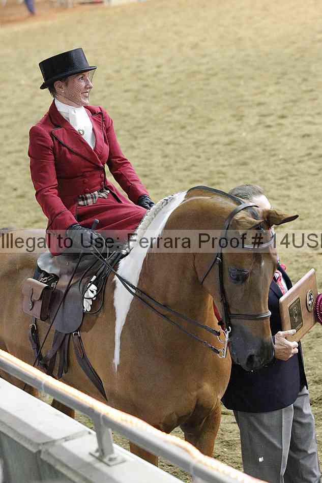 Proof 14usn_35107